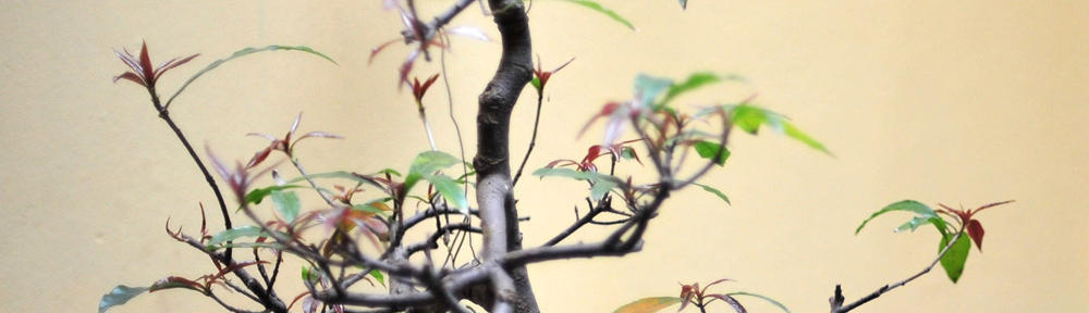 Purdy Stable Connection